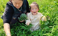 苍井空电影全集快播